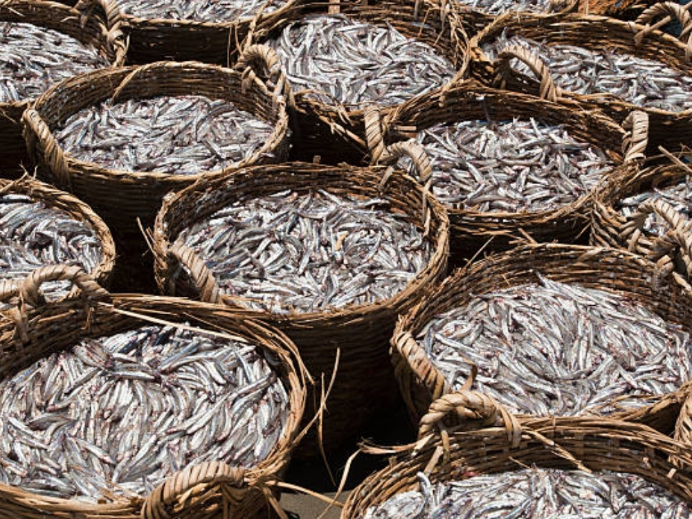 Nước mắm Long Xuyên – An Giang